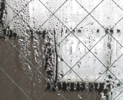雨露で濡れた防犯ガラス