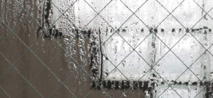 雨露で濡れた防犯ガラス